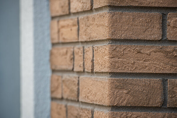 Original Meldorfer -