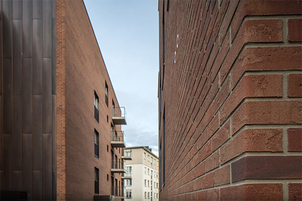 Original Meldorfer -