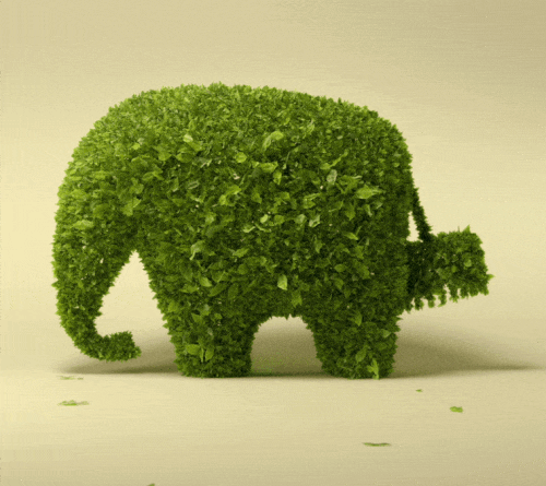 <b>The Power of Green</b>