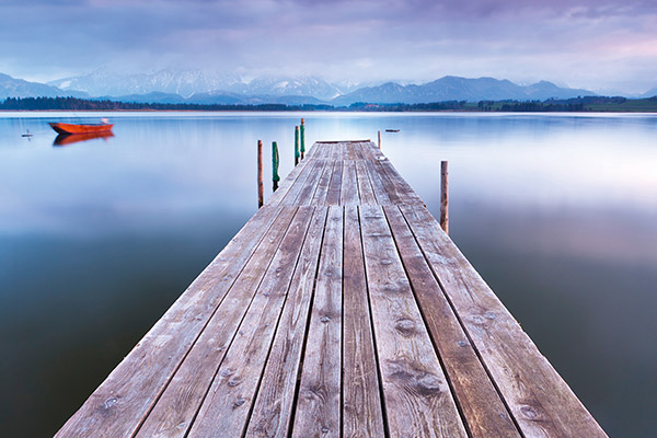 ხის უნიკალური დიზაინი